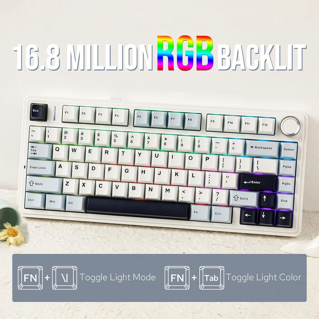 Teclado Aula X Epomaker F75 F75 2,4G teclado mecánico inalámbrico, 75%, RGB